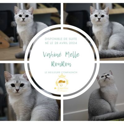 Vahiné Of British Archanges