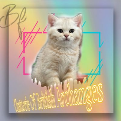 Ufo Of british Archanges