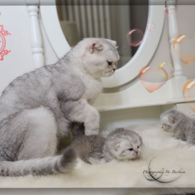 Nos archanges nées le 12 mai 2022