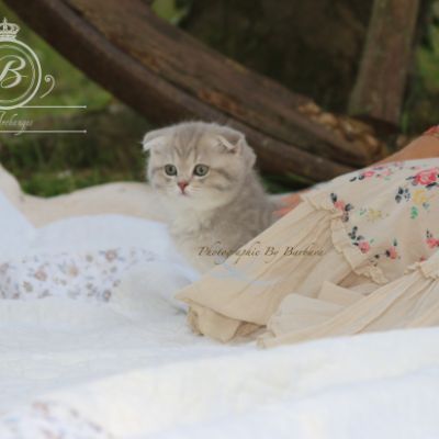 Romy Of british Archanges