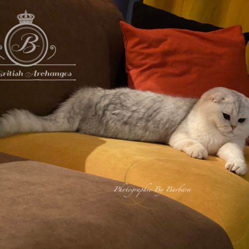 Papyrus Of British Archanges