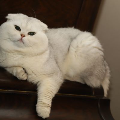 Papyrus Of British Archange