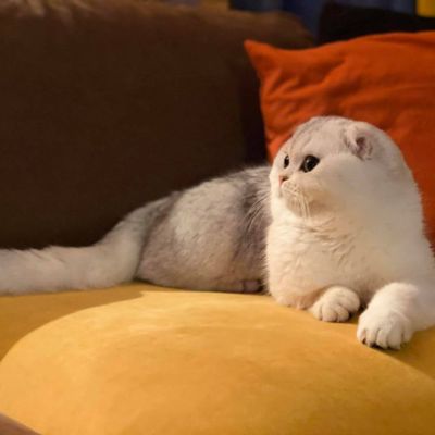 Papyrus Of British Archanges