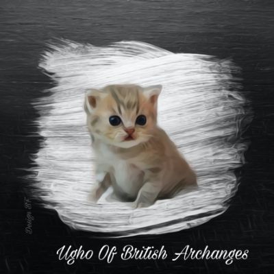 Ugho Of British Archanges