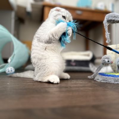 Uguette Of british Archanges