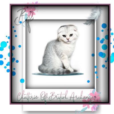 Uguette Of british Archanges