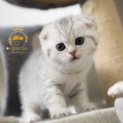 Uguette Of british Archanges