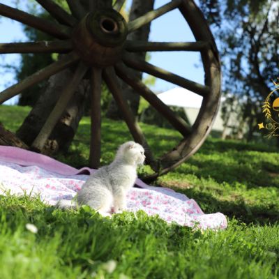 Uguette Of british Archanges