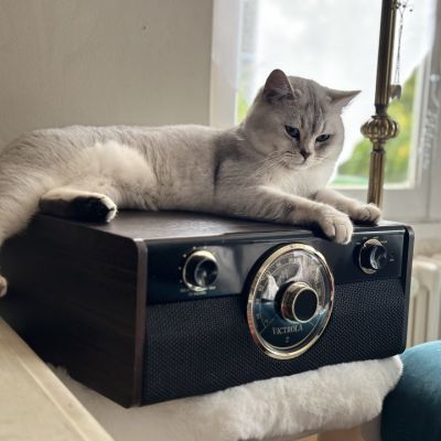 Sharly Of British Archanges