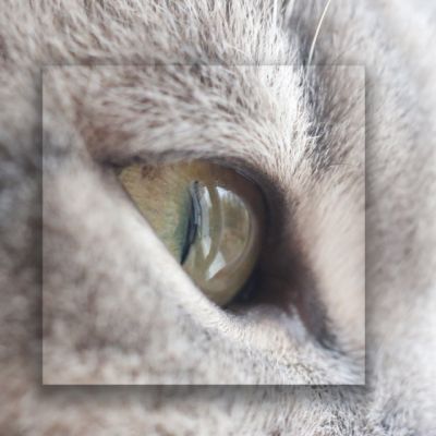 New Blue soit Looping