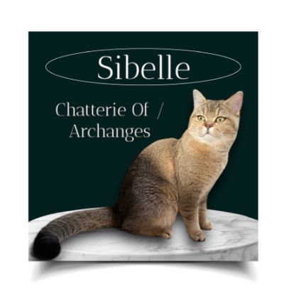 Sibelle Of British Archanges