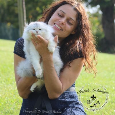 Night Fall Of british Archanges